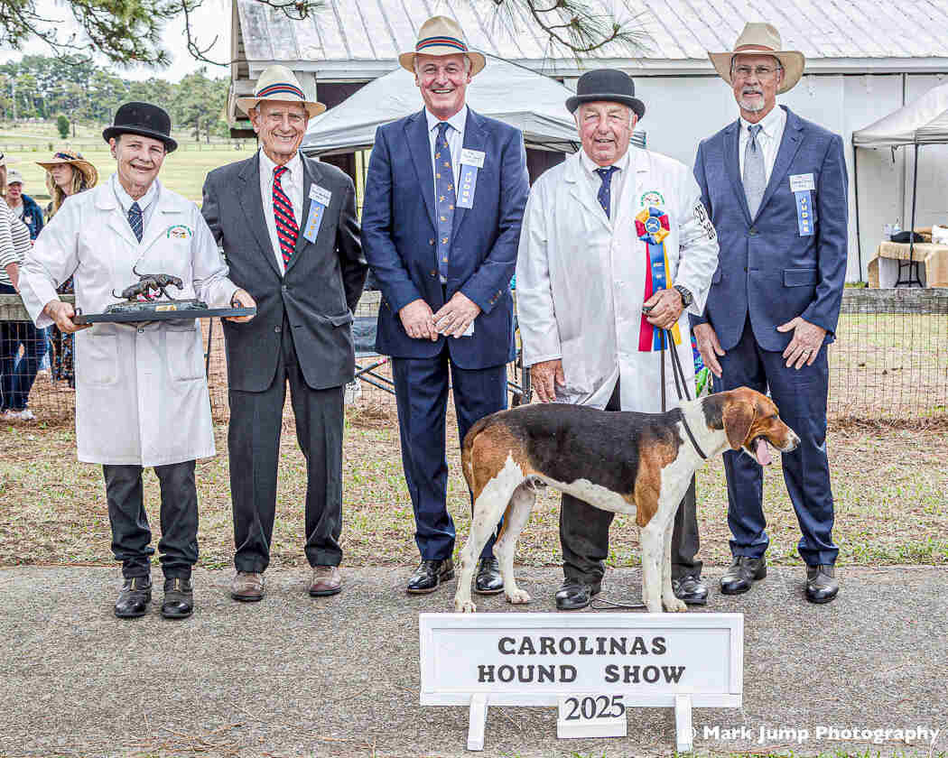 Hound standing with five men holding trophy