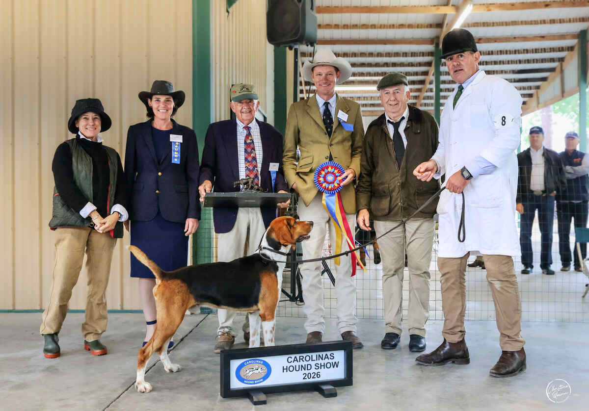 Hound standing with six people, holding trophy and ribbon.
